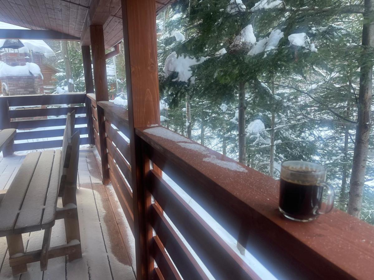 Villa Затишна De Luxe Mykulytschyn Exterior foto