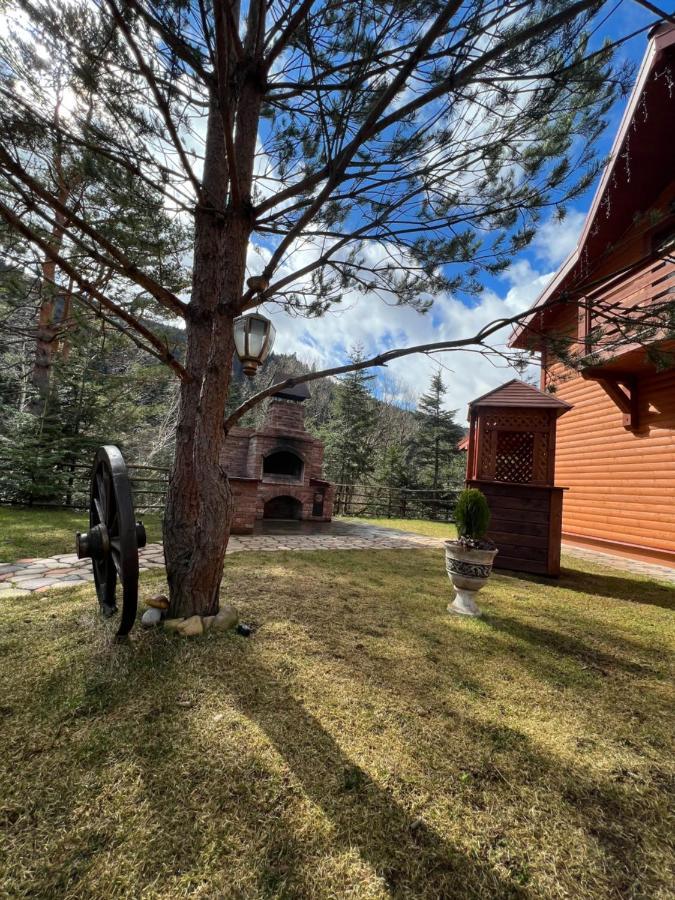 Villa Затишна De Luxe Mykulytschyn Exterior foto